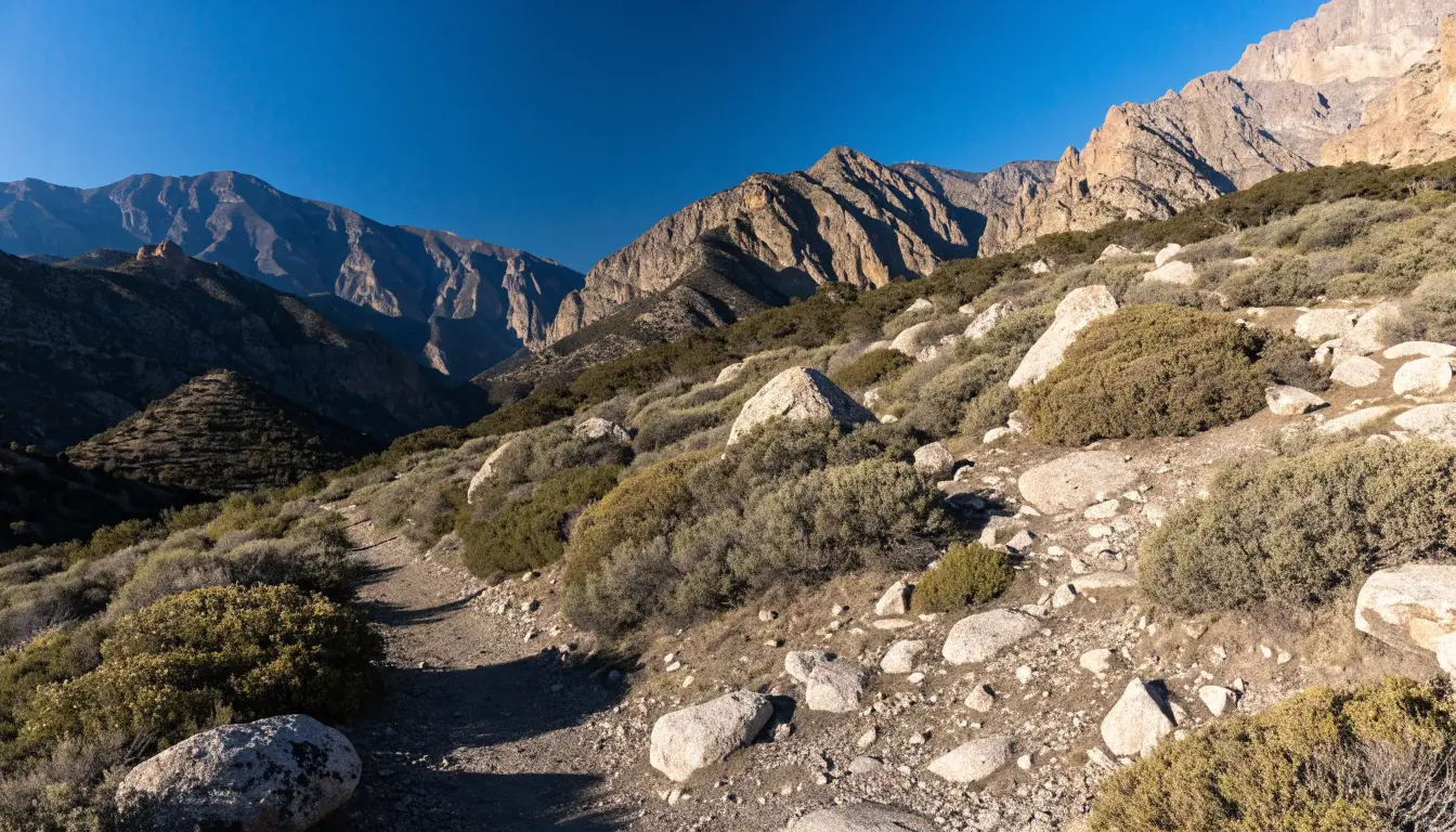 North Etiwanda neighborhood of Rancho Cucamonga, served by our car accident attorney team
